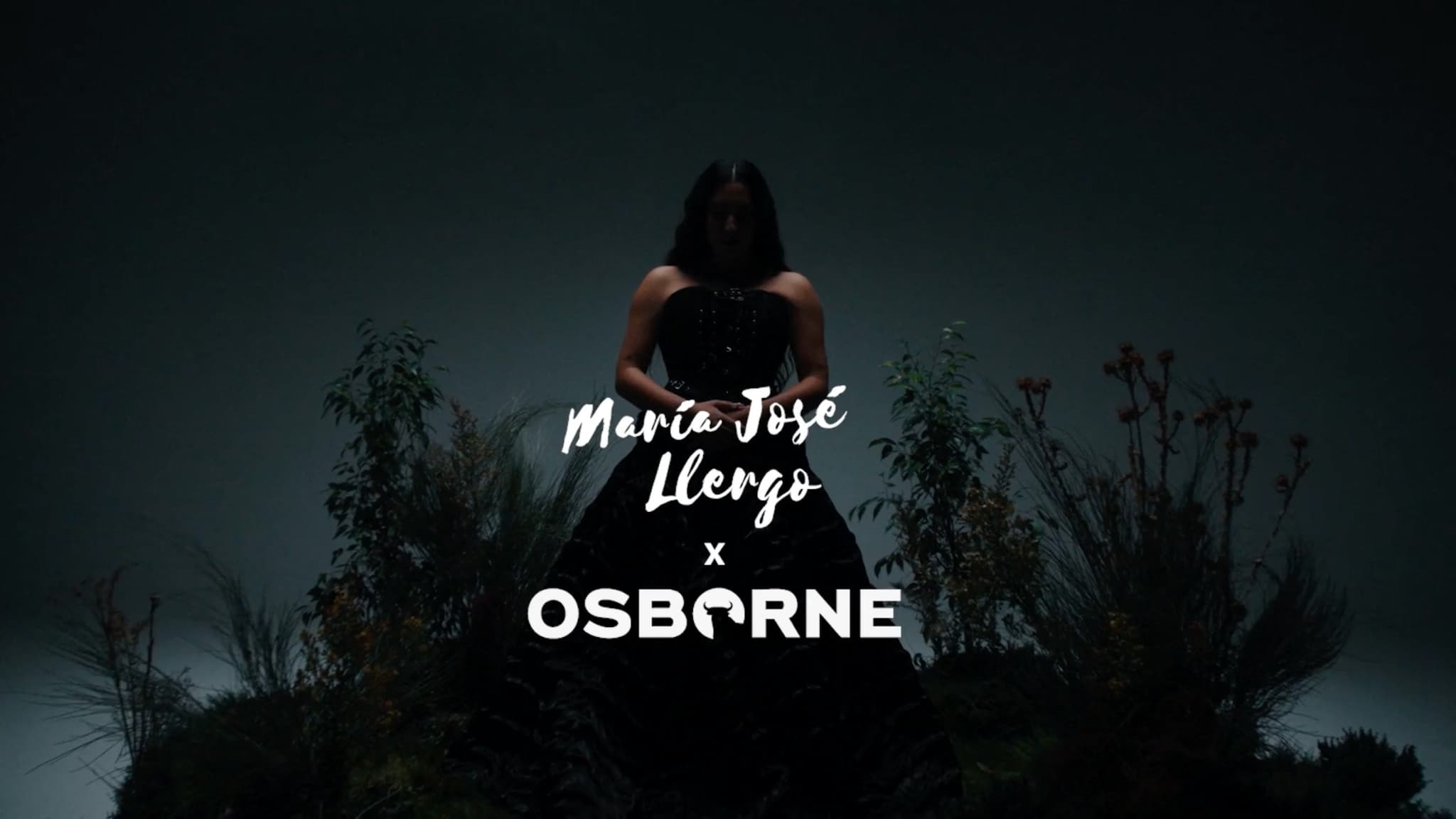 OSBORNE x Maria José Llergo - 10