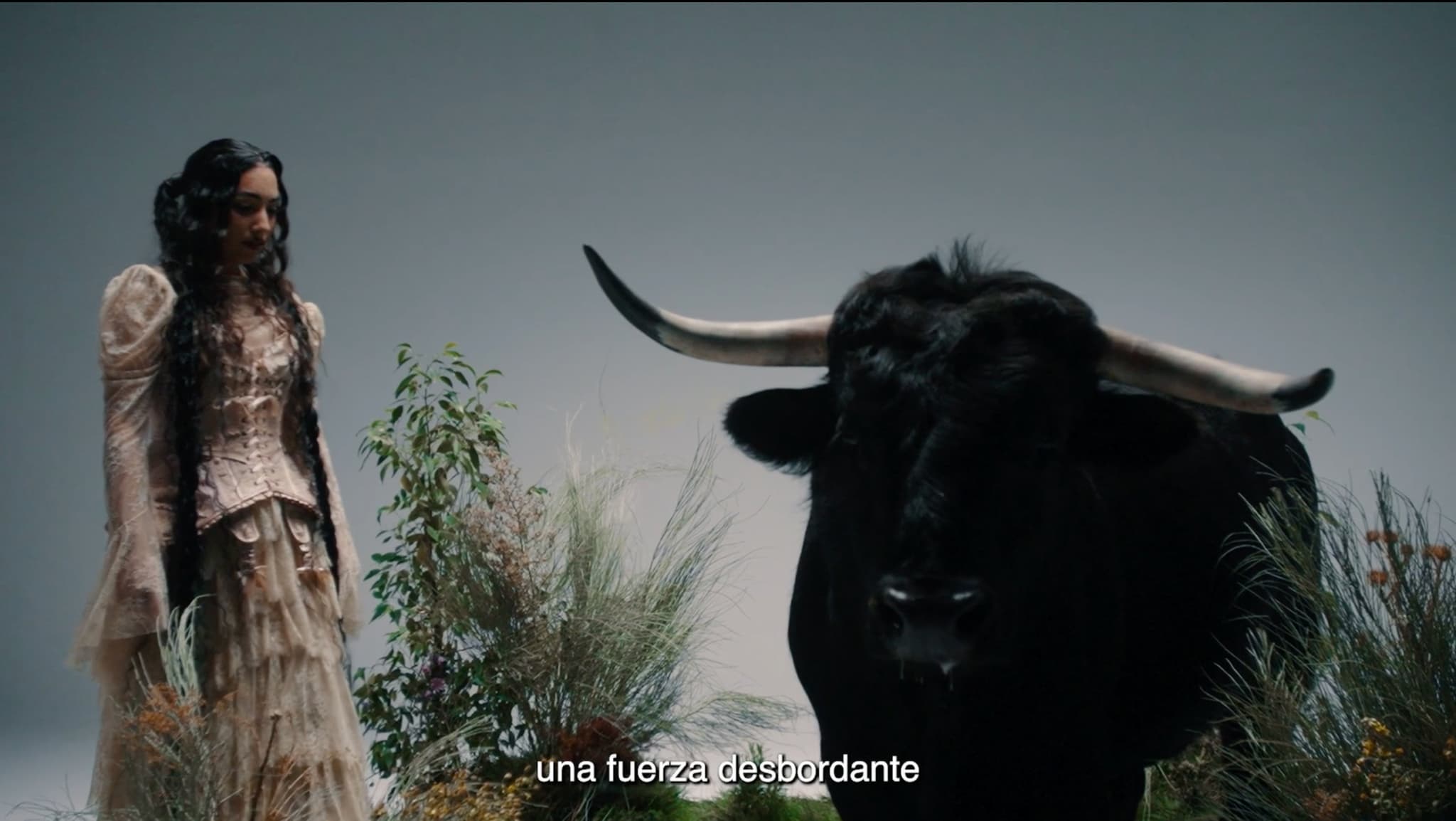 OSBORNE x Maria José Llergo - 2