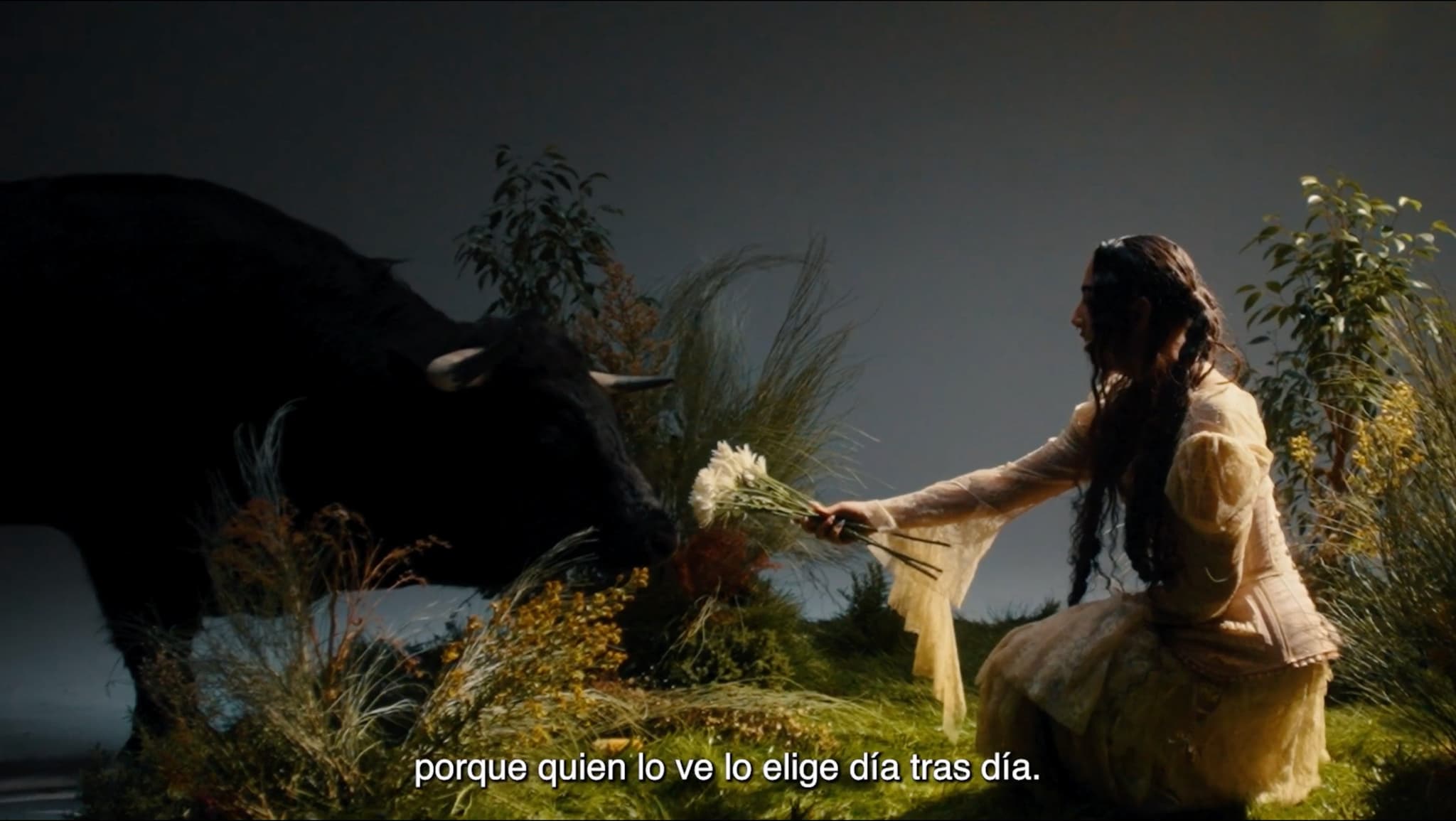 OSBORNE x Maria José Llergo - 3