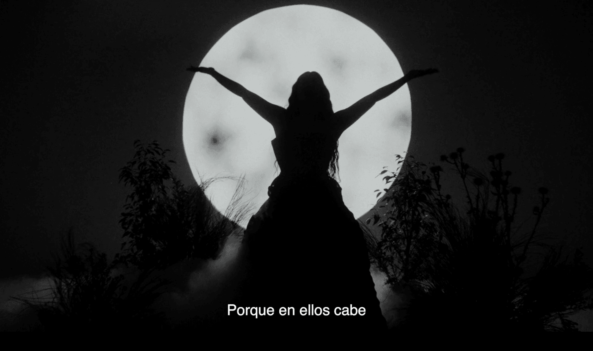 OSBORNE x Maria José Llergo - 8